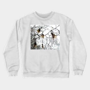 Frozen Branches and Leaves- Freezing Rain in the Spring Crewneck Sweatshirt